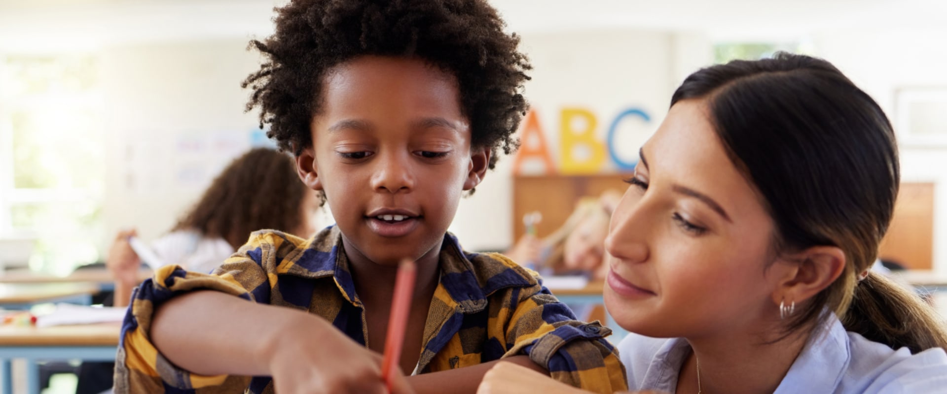 Conducting a Background Check on a Tutor
